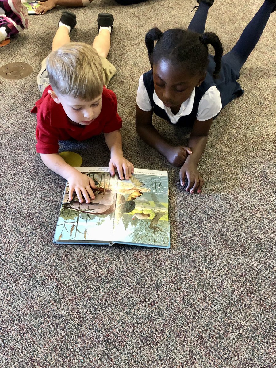 QuarterfieldES's tweet photo. PreK students practiced book care and sharing books with friends in Media last week! 📚 #aacpsawesome #creatingaloveforbooks @AACountySchools @ms_zacks @AACPSReads https://t.co/FPzBesqnhc