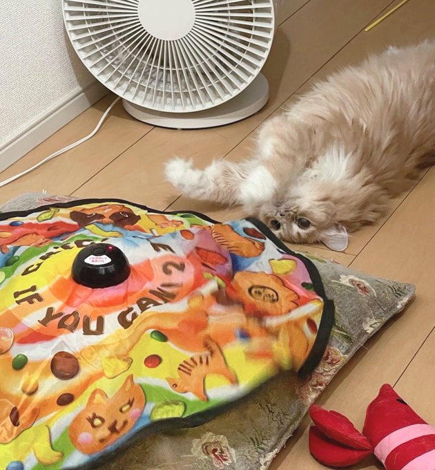 相変わらずだらだら遊びなおシャルちゃん 