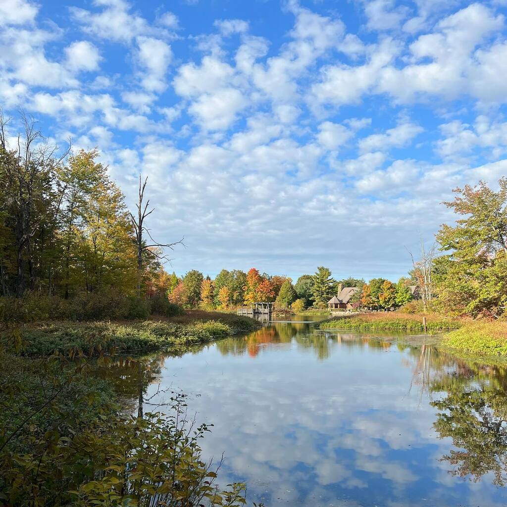 Fall vibes in full force. #11miler