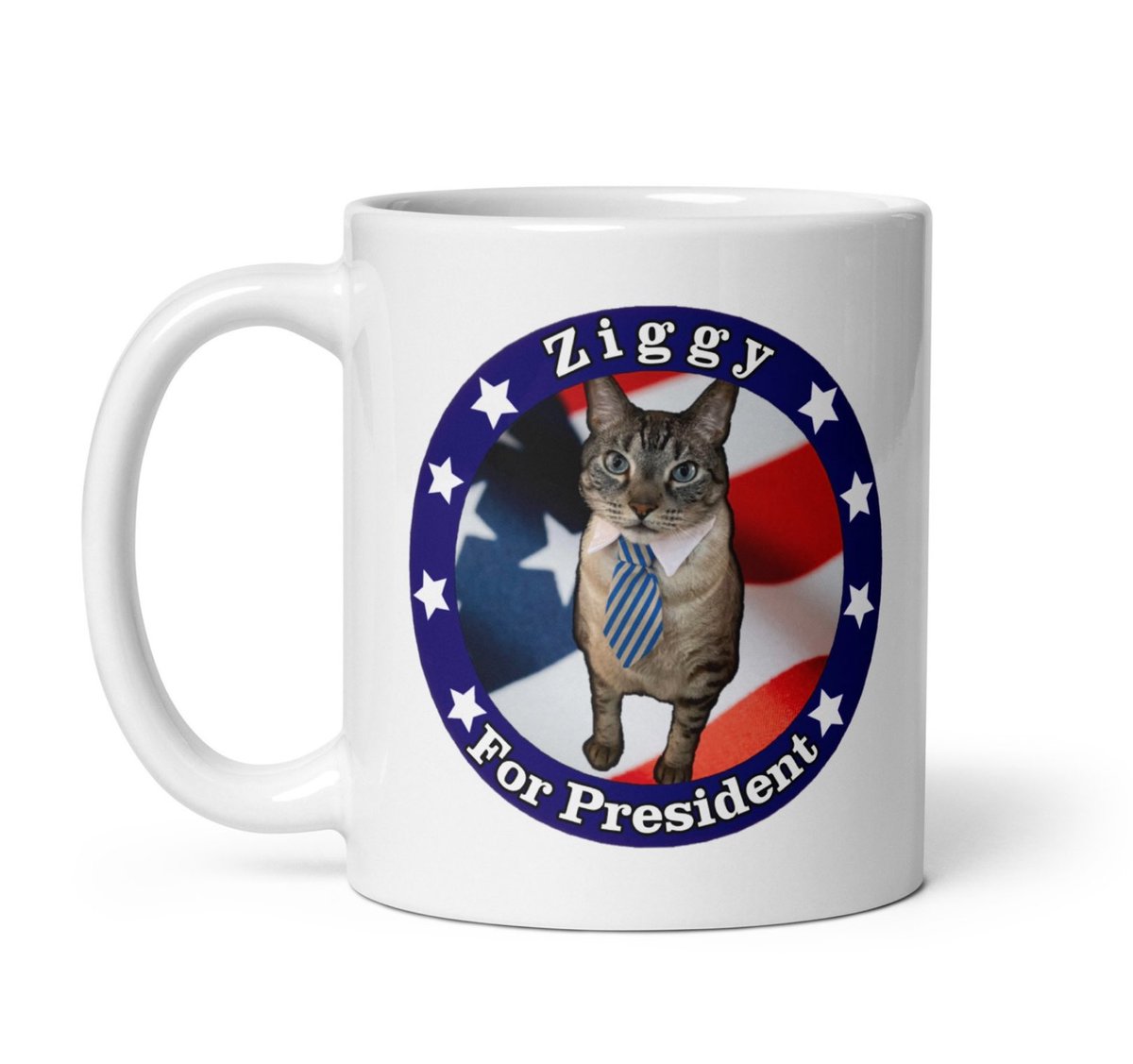 Ziggy for president 😂😂😂❤️🐱 #CatsOnTwitter #CatsofTwittter