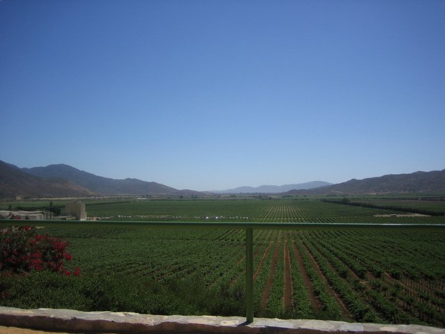 RadioUNAM's tweet photo. El Valle de Guadalupe es una región vinícola ubicada en Baja California 🍇 Escucha este #ppdcast de @_collardeflores y conoce más sobre este lugar y los problemas que está enfrentando para proteger su suelo agrícola 👉 https://t.co/7iEx2gcUXL https://t.co/VjX0uJkdsq
