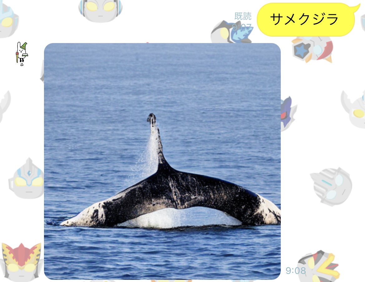 サメクジラはまぁこうなるだろうと予想がついた 