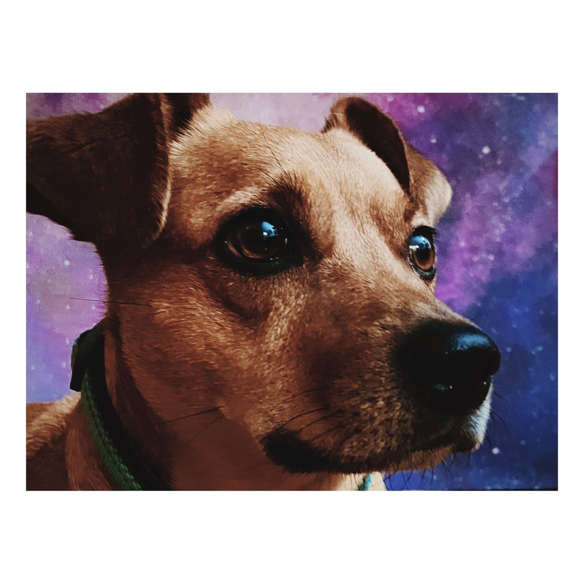 IamSDennis's tweet photo. @adultswim Space is the place https://t.co/brBgI3ZXg3