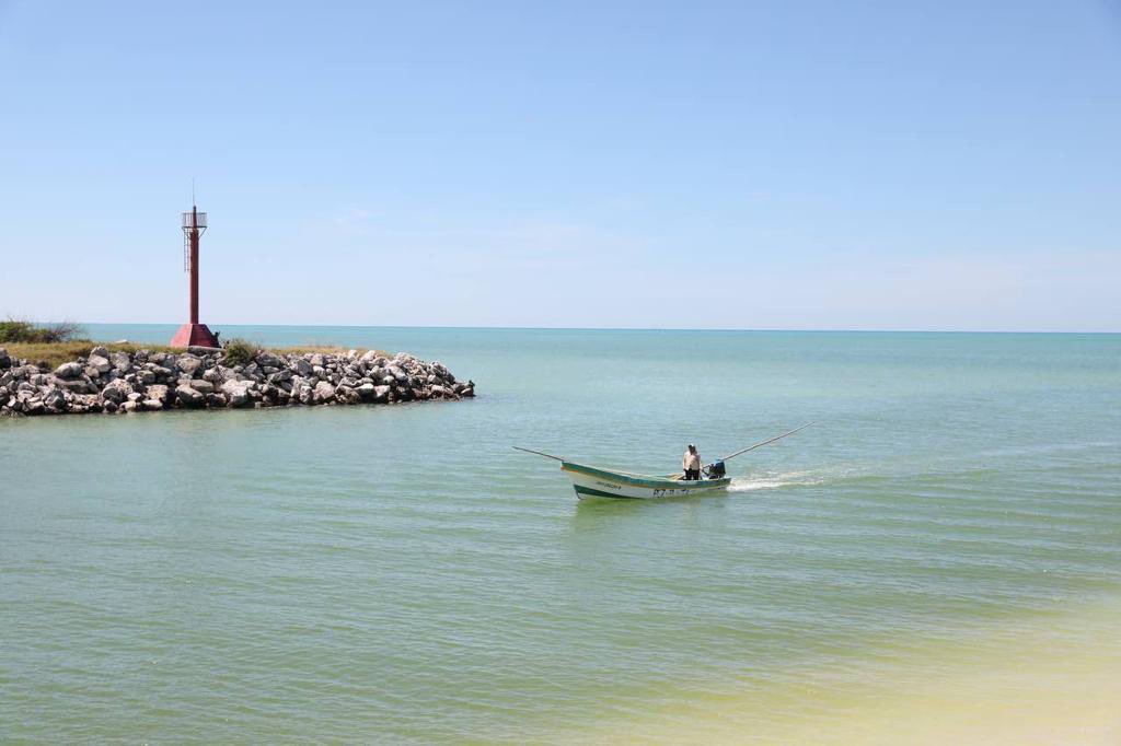 sepasyucatan's tweet photo. Como nos instruyó el Gobernador @MauVila, y continuar apoyando a los pescadores de #Yucatán, entregamos los trabajos de dragado en el puerto de abrigo de #Celestún… (1/2) https://t.co/mT3bsyfHqT