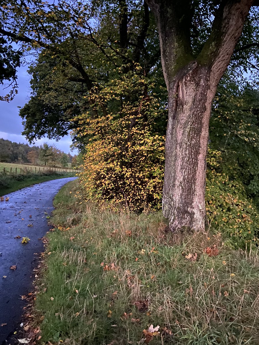 equiscot's tweet photo. It’s a great morning to be outside https://t.co/0dNda4e2FD