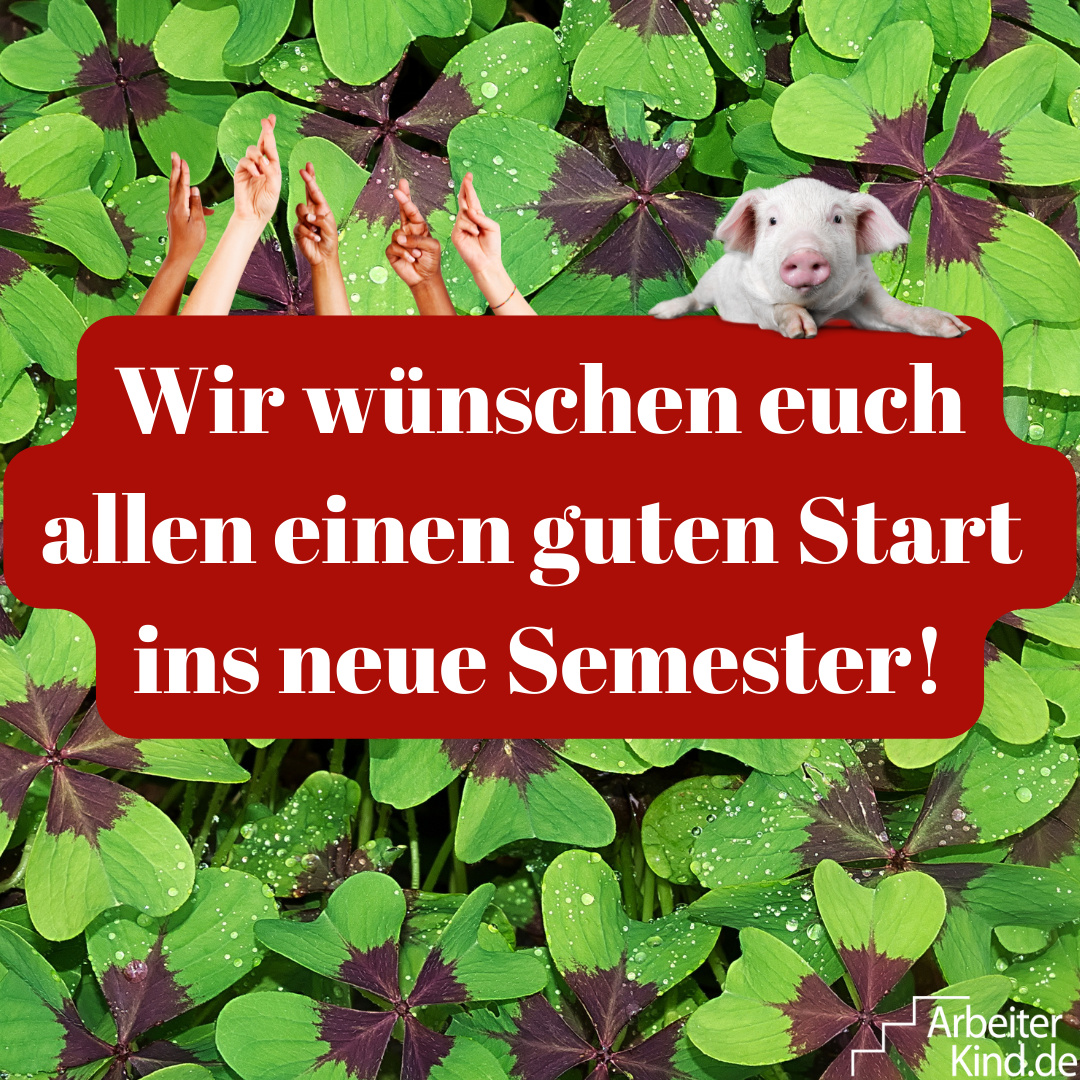 ersteanderuni's tweet photo. Wir begleiten und unterstützen alle, die als Erste in ihrer Familie studieren! Ob #Erstsemester 🥇 oder Langzeitstudis: wir sind für euch da und wünschen euch einen super guten Start ins neue Semester!! 🍀 🌞 🍾
#ErsteanderUni #Uni #Semesterstart #Semester https://t.co/RsQv37d6Ml