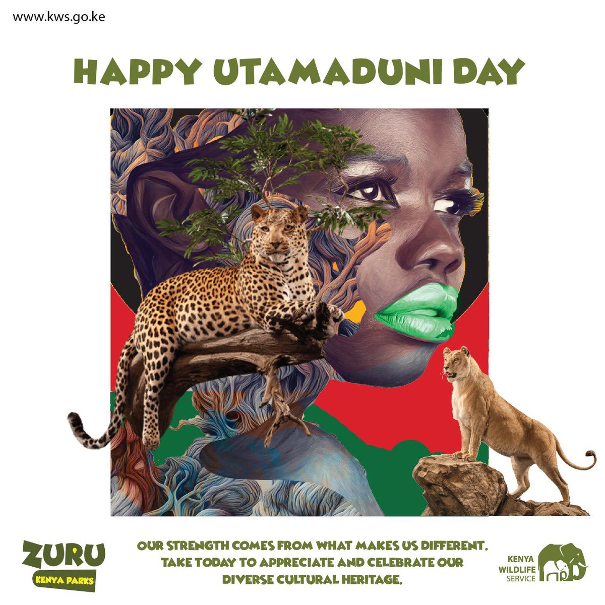 Happy #UtamaduniDay We celebrate our country’s rich cultural diversity and heritage. Experience it as you Zuru KWS Park and Reserves across all corners of our Country. Karibuni. #ZuruNaKWS #ZuruKenyaParks