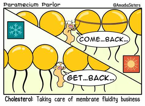 PlasmaM22's tweet photo. Congratulations to Cholesterol for winning Membrane Structure of the Month! Props to you for keeping me together through thick and thin. Couldn't have been here without you. #GetPoliticell #membraneofthepeople #besties #loveya #homies #real #one https://t.co/tHjgc0EPFo