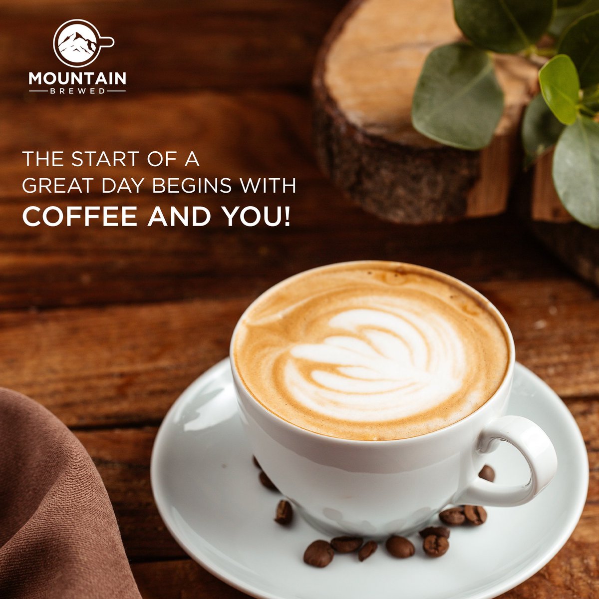BrewedMountain's tweet photo. Say hello to Monday with a strong coffee and a great smile! May you have a productive day and week ahead 🤎
#mountainbrewed #CoffeeTime #coffeeaddict #robustacoffe #caffeine #MondayMotivation #wayanadcoffee https://t.co/3OE1T4bHZs