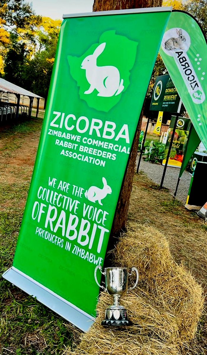 RabbitZimbabwe's tweet photo. Monday Motivational vibes ✨️ 
"It always seems impossible until it's done."  Nelson Mandela 

#rabbitfarming #healthymeat #zicorba #letsmakezicorbagreat https://t.co/Gycypx7Ju8