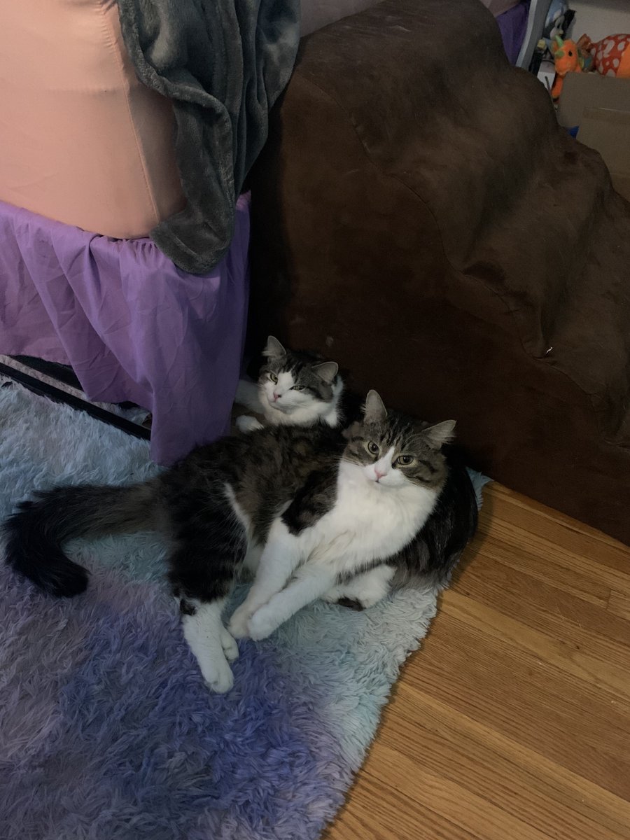 MSMavadosey's tweet photo. We are way to cute https://t.co/nExexzAJRB