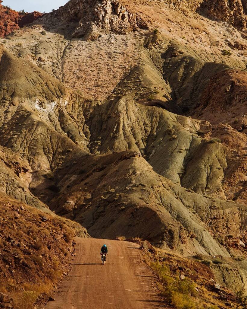 Rodeo Adventure Labs tweet media