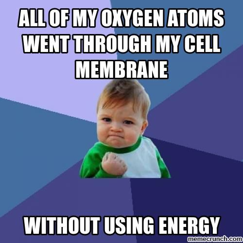 PlasmaM22's tweet photo. Happy to help! If you didn't know, you don't need energy to pass through me. My cell is still #exclusive through. If you don't pass the vibes- YOURE OUT! #GetPoliticell #membraneofthepeople #thebest #energy #noenergy #easy https://t.co/fJS0fxMgH1