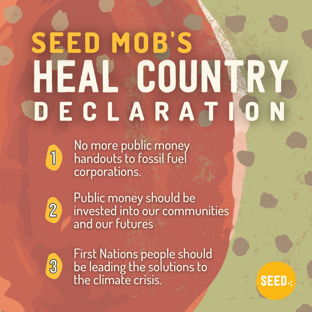 Have you signed our Heal Country Declaration? nt.seedmob.org.au/declaration click through to read more and sign! 

#HealCountry #ClimateJustice #PublicMoneyForPublicGood