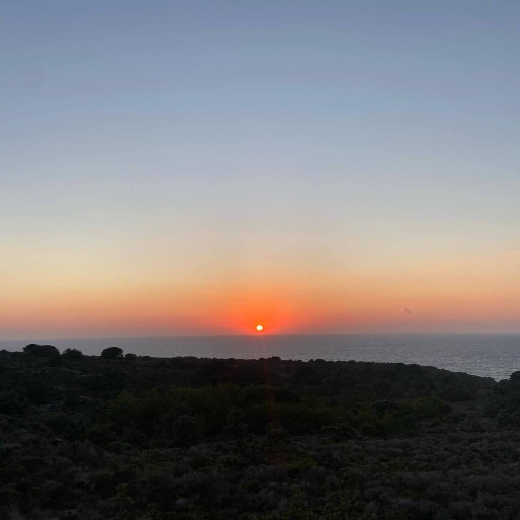 stardado's tweet photo. The sunsets on Kos Island are beautiful, you have to be careful where you watch them from but there are plenty of places. #sunsetonkos #sunset #sunsetingreece #sonnenuntergang #sonnenuntergangaufkos #kosisland  #kosgreece #greeceislands #greecesunset #sunsetlovers #sunsetpho… https://t.co/qmya216rZx