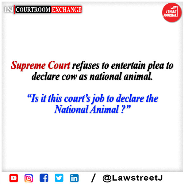 LawstreetJ's tweet photo. Courtroom Exchange !
.
.
#lawstreetj #LSJCourtroomExchange #CourtroomExchange #InsideCourt #SupremeCourtofIndia #SupremeCourt #Court #advocate #legal #india https://t.co/GvObfoNPaE