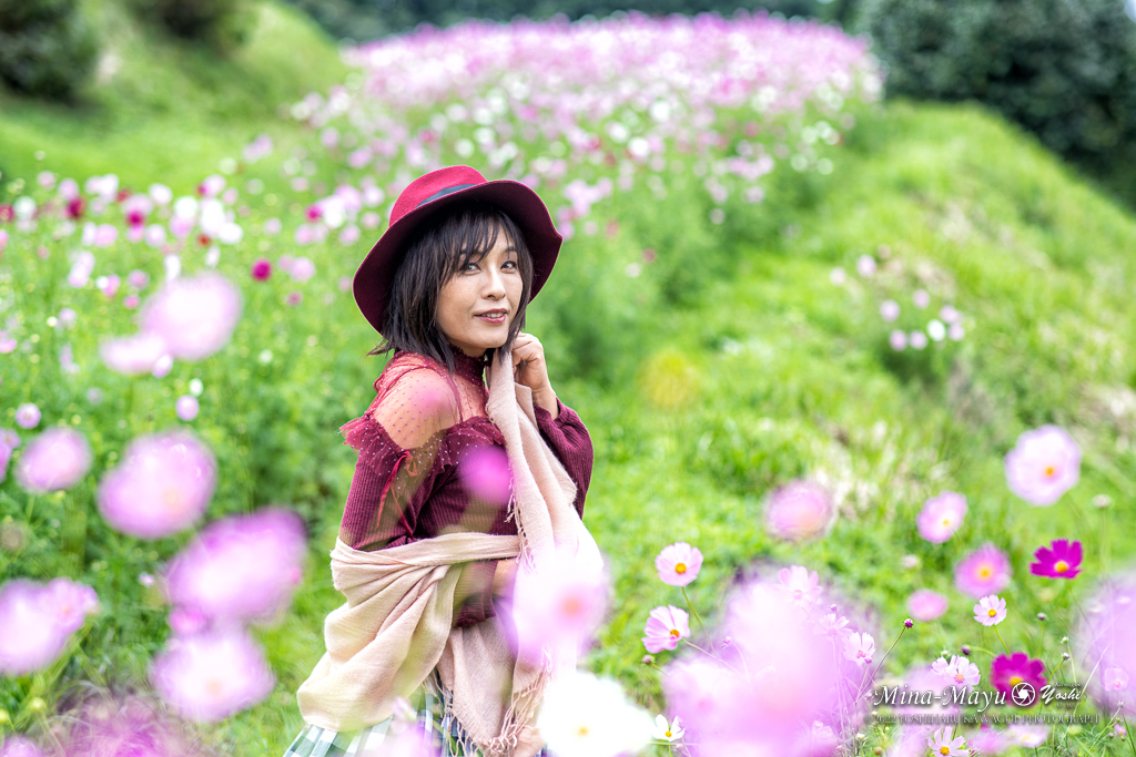 goe2003jp's tweet photo. ー コスモス畑で ー

#ポートレート写真 
#秋
#コスモス
#写真が好きな人と繋がりたい 
#写真を撮っている人と繋がりたい 
#ファインダー越しの私の世界 https://t.co/rLgU2CMYTS