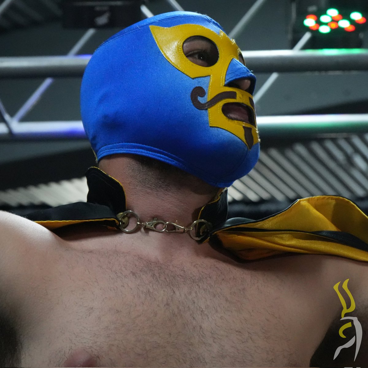 Contralona's tweet photo. Mira algunas fotos de lo acontecido ESTA NOCHE en el evento #EternalRival del proyecto Immortal Lucha Libre, celebrado en las facilidades @EPWDojo. https://t.co/GBuJr2qeOy