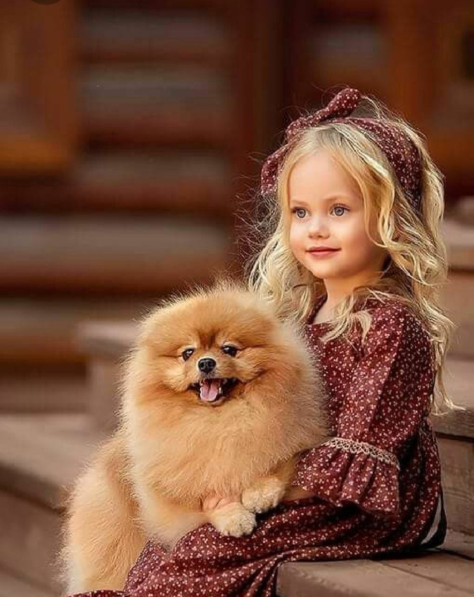 suzan basha (@suzanbasha) on Twitter photo 