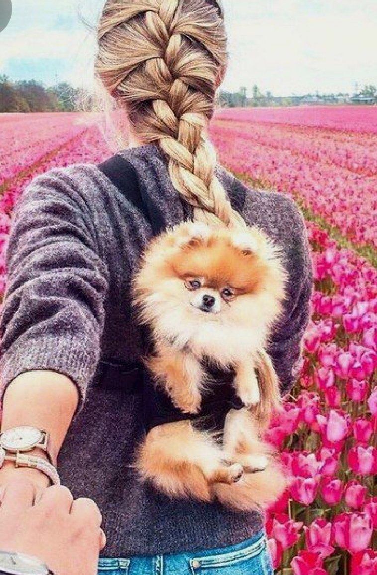 suzan basha (@suzanbasha) on Twitter photo 