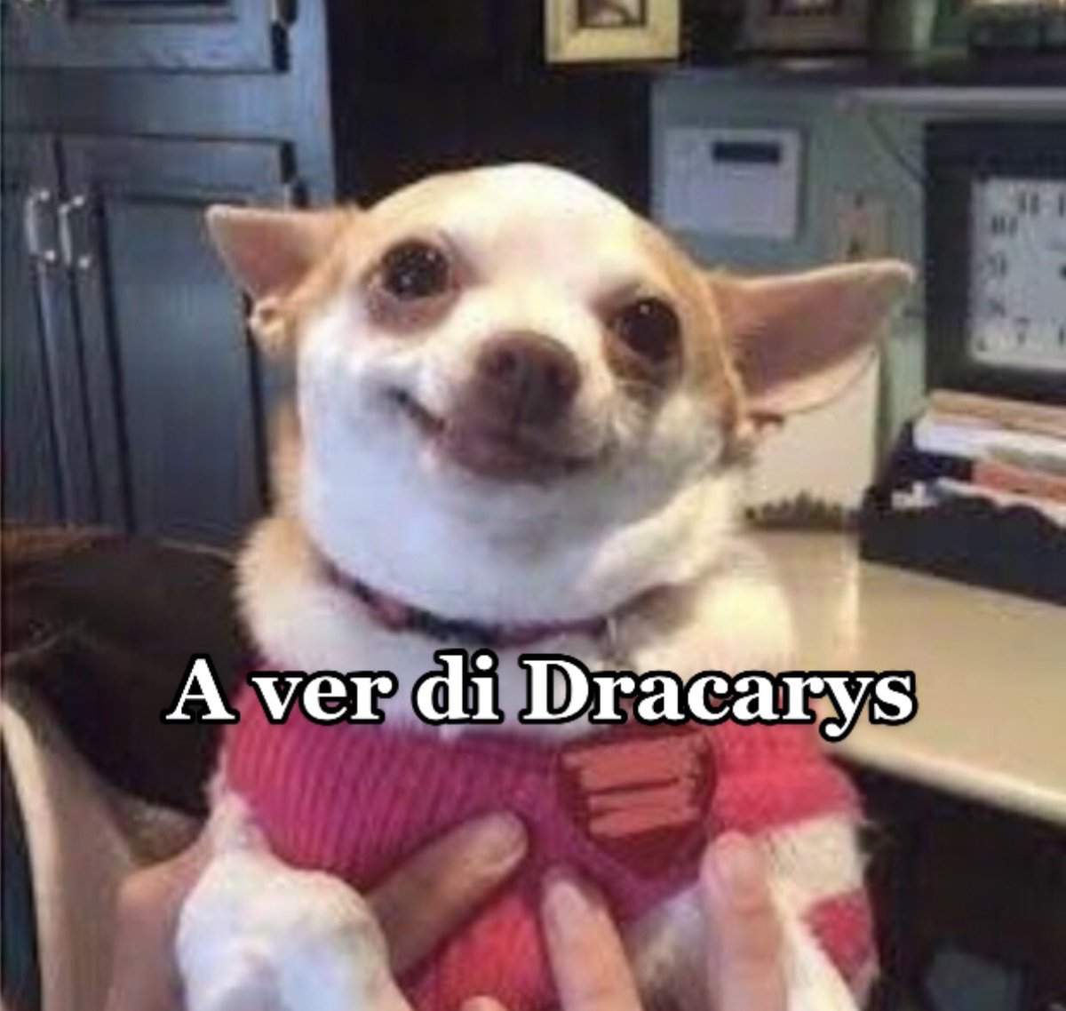 altairavbreck's tweet photo. Mi LEGÍTIMO príncipe pelos negros de yegua Jacaerys Targaryen 😍

#HOTD #Lacasadeldragon #HouseTargaryen #HouseOfTheDragon https://t.co/R8j9j9fC8S