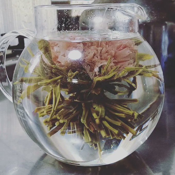 父親が知り合いからもらったらしい花茶を淹れてみたんですが想像より綺麗に咲かなかったのと、味も微妙だったので1煎目でやめました
ジャスミンベースかな……? 