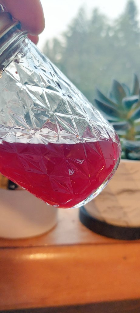 This little jar contains a beta version of our upcoming BLU Ghost #Yaooosauce 👻  🌶 The batch is still fermenting, but we seperated out some brine to see how it's developed so far. It is spooky hot and smells eXtremely enticing.