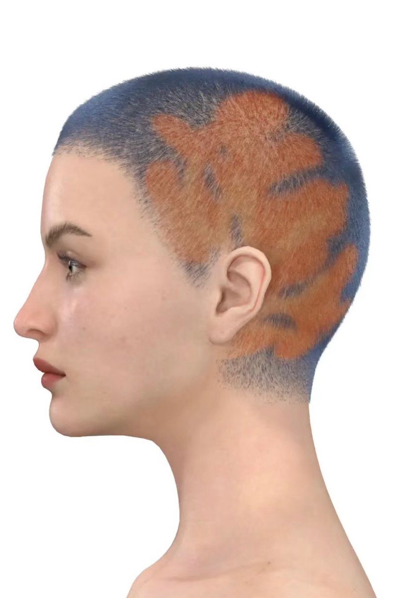 Want to level up your character's styles?

Discover Stylist3D! Pick from trending haircuts or use precise customizations. 

Get inspired &amp; try the free trial:
lnkd.in/dc5MMaZU

#Stylist3D #Style3D #3Dmodeling  #FashionStyling
#CharacterDesign #VirtualModel