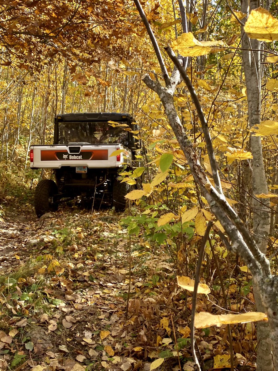 A memory at every mile. 🍂<a href="/BobcatCompany/">Bobcat Company</a>