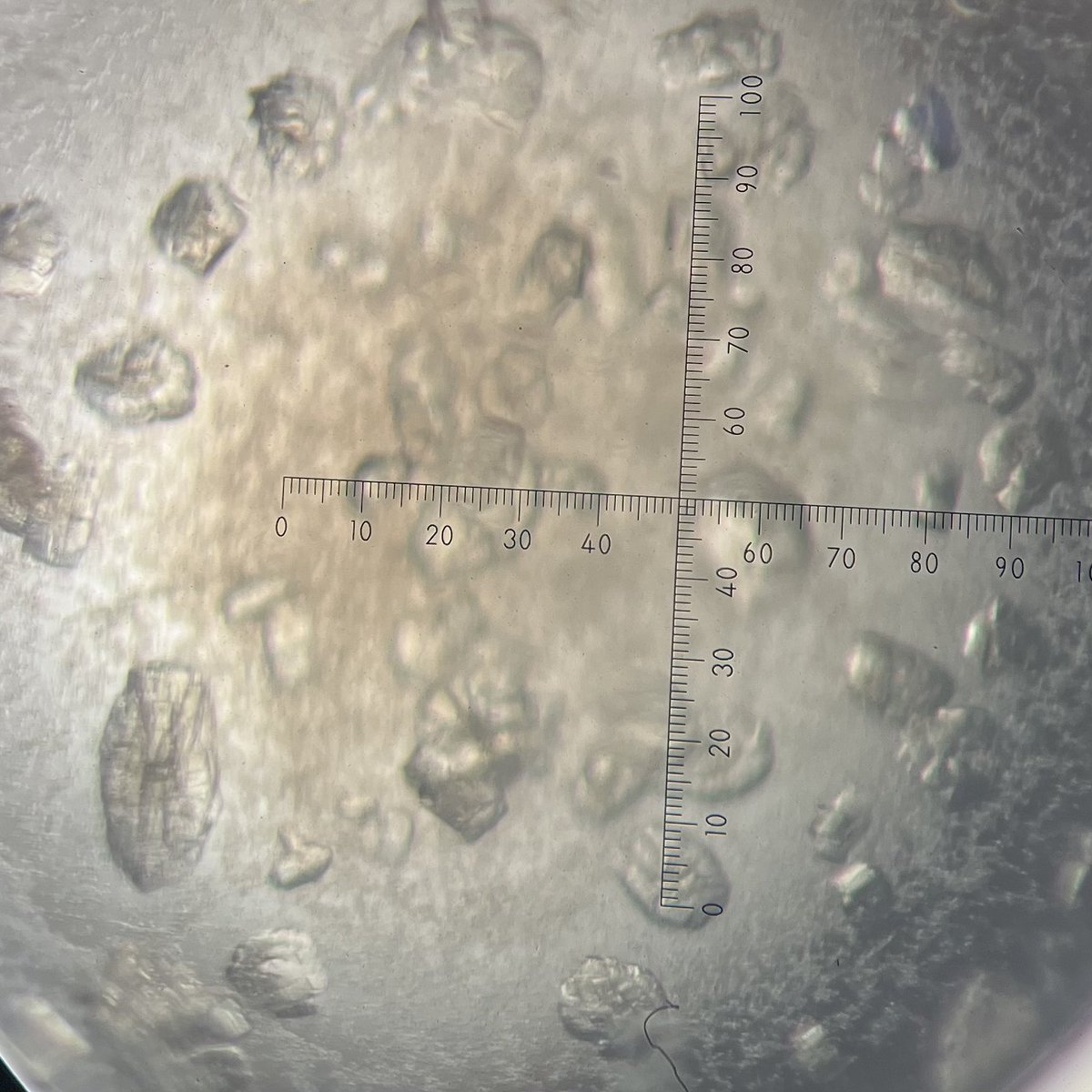 ThiliniSurenika's tweet photo. @mikaylahoad May be altogether months lolz… 😅 Stubborn proteins didn’t grow but only gave these pretty blobs!!! 😂 Some plates that I forgot to throw had old crystals at least… 😁 https://t.co/WW0a9PSeDa