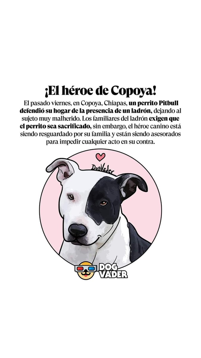 No es un criminal, defendió a su familia de un extraño. EL HÉROE DE COPOYA #DOGVADER