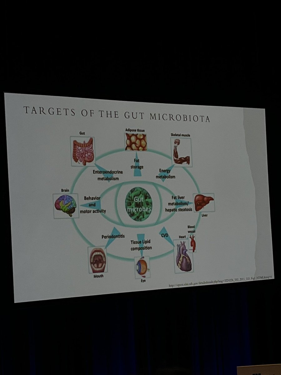 Nishaobgyn's tweet photo. Whatever your health related question 

Gut microbiome is the answer 
#ranzcog22 #GoodBugs #microbiome https://t.co/JjxE1ETB3F
