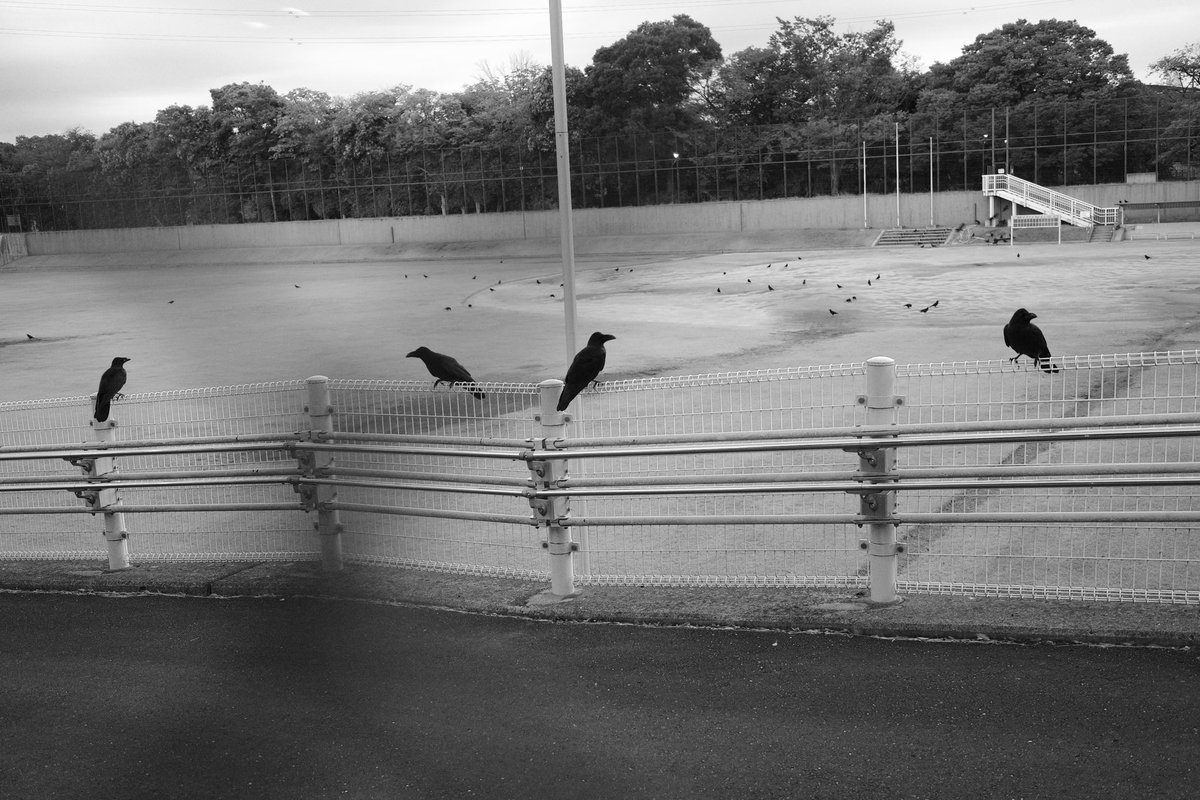 wesptwt's tweet photo. monochrome
#photography #monochrome #streetphotographyjapan #snapsot https://t.co/oFThsu2JBw
