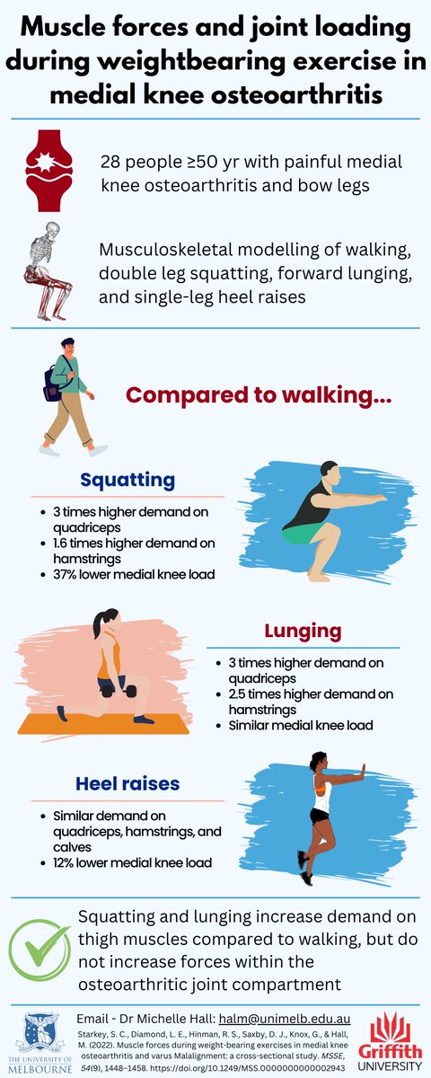 Our recent <a href="/MSSEonline/">Medicine & Science in Sports & Exercise</a> paper has just been featured in <a href="/CSMRonline/">Current Sports Medicine Reports</a>'s October edition under Scanning Sports Medicine

Take home✉️: To clinicians and their patients with bow-legged medial knee OA: fear not, do your squats/lunges!

Infographic 👇

Manuscript🔗journals.lww.com/acsm-msse/Abst…