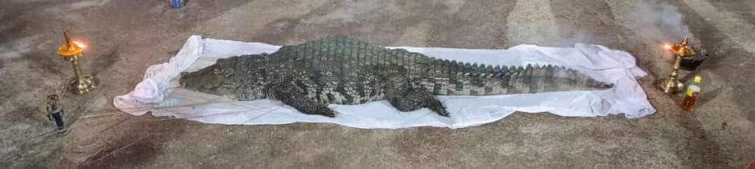 Laxmisha5's tweet photo. Divine Crocodile Babiya which was guarding Sri Anantapura Lake Temple in #Kasaragod of Kerala is no more.
Om Shanti.

The only true Vegetarian crocodile #Babiya lived here in the Temple lake for the last 70+ years eating the Prasadam of 
Sri Ananthapadmanabha Swamy.
@IndiaTales7 https://t.co/N2imA7obj3