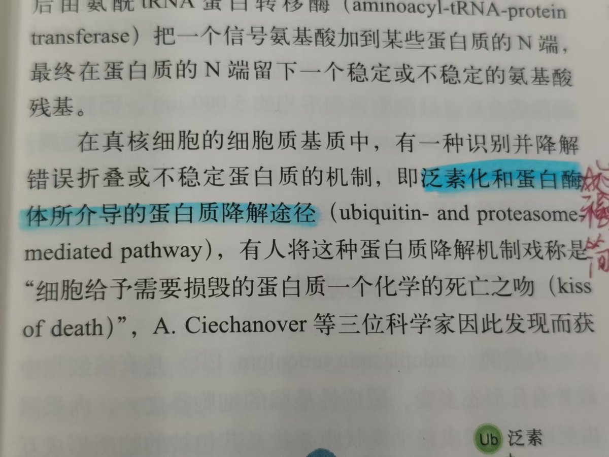niszs2's tweet photo. 你问小苏打工累还是上课累……
当然是上课啦！学到昏厥！
呜呜呜……只有在哥哥的怀里才不会累……
#骚货 #反差  #文爱   #调教 #骚逼 #喷水 #高潮 #自慰  #女大学生 #女大  #奶子 #胸推
#自拍 #丝袜无内 #福利姬 #发情  #原味 #原味内内 #自慰 #英雄联盟  #陪玩 #露出 #学生萝莉 https://t.co/Ltg4yUK0c0