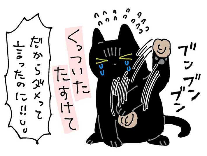 「ダメだって!」 ガムテープで遊んだ猫のオチに「予想できたけどかわいい!」 https://t.co/GeuLCN8jkB @grapeejpより 