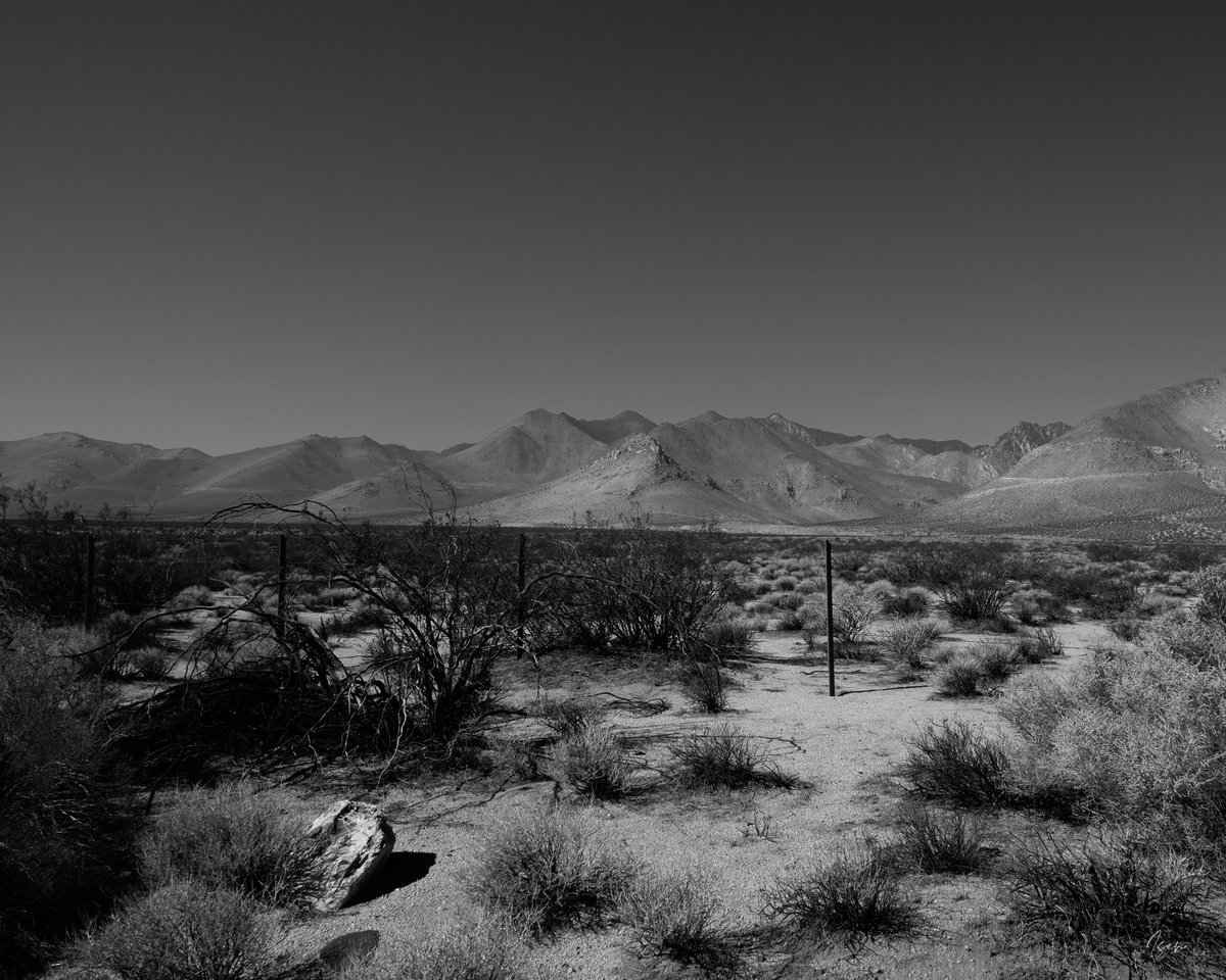 isensno's tweet photo. Eastern Sierra desert.
#bw #b_w #bandw #blackandwhite #blackandwhitephotography
#nature #landscape
#roadphotography https://t.co/GILHLR8pP6