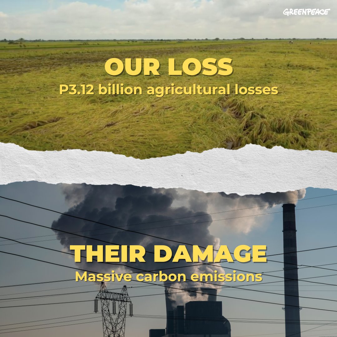 gpph's tweet photo. We lost P3.12 billion in agricultural damages from #KardingPH.
For fueling climate change, demand climate polluters like @Shell, @Chevron, @exxonmobil, @holcim, and @TotalEnergies to pay for LOSS and DAMAGE by tweeting them using the hashtag, #ItsPayUpTime!
#ClimateJusticeNow https://t.co/2n7LsdTIDs
