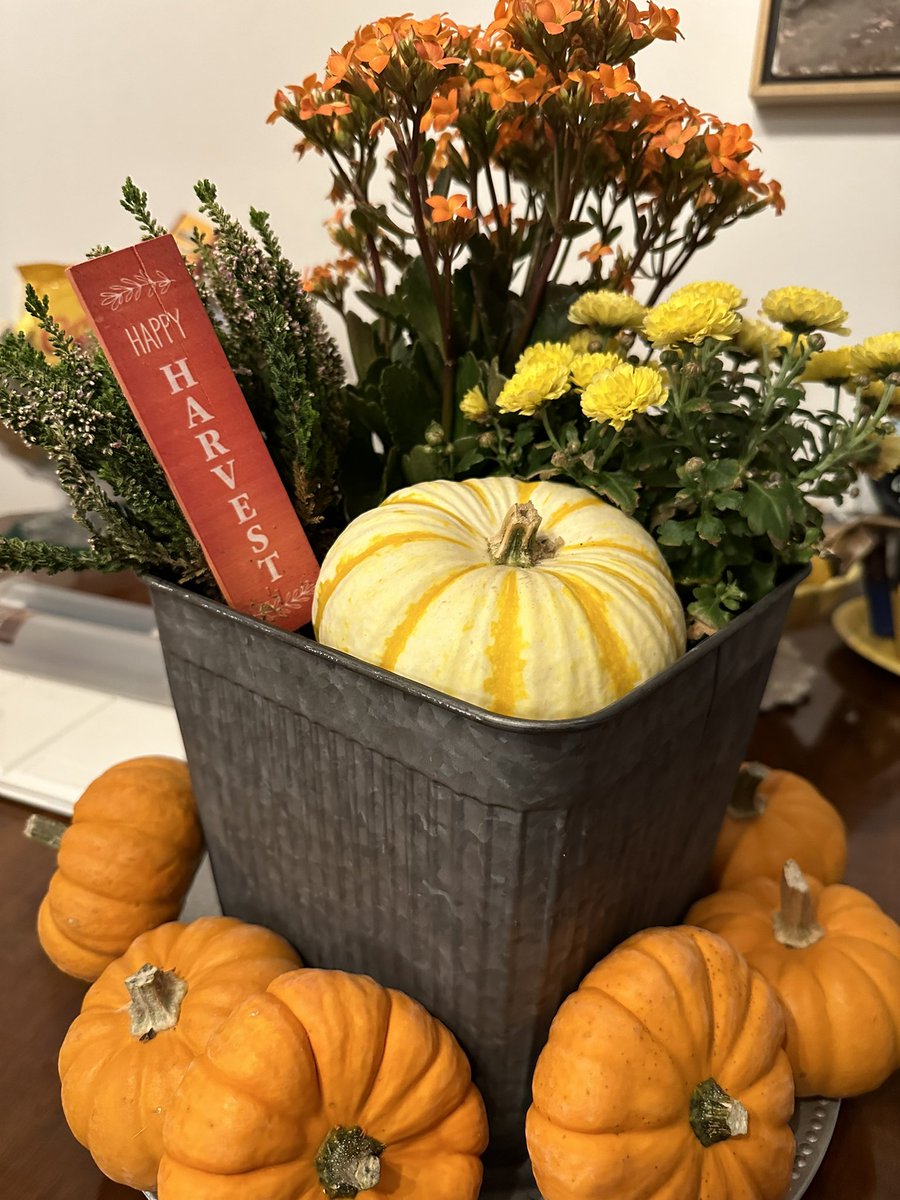Shellsez's tweet photo. Happy Harvest! 🍂 https://t.co/7tUjB8kTt8