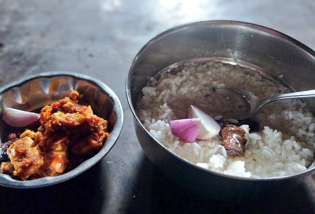 deepanwita_t's tweet photo. The famous #Pakhala rice with duck egg omelette. #Odisha #fielddiary https://t.co/t2wVsrd6l6