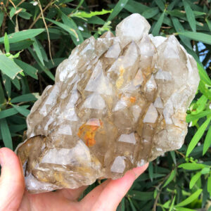 Sacredcrystals's tweet photo. New Brazil Shipment has Arrived - https://t.co/qTMJ7THI2q https://t.co/icqO4MsVdW
