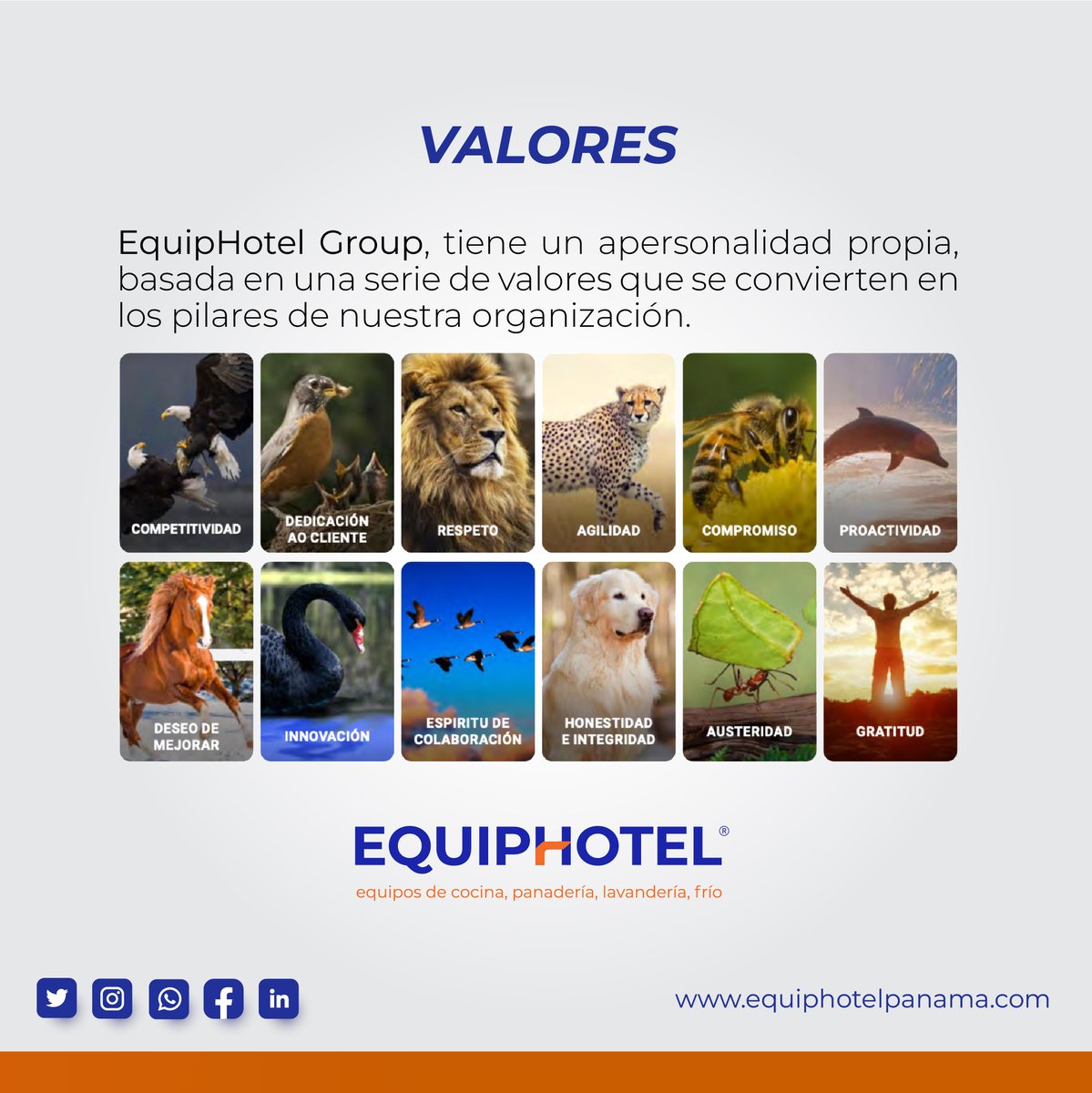 EquiphotelP's tweet photo. Somos una empresa dedicada a la modernización de cocinas industriales.
DISEÑAMOS - CONSTRUIMOS- EQUIPAMOS- MANTENEMOS.
#equiphotelpanama #restaurantespanama #cocinaspanama #hospitalespanama #lineafriapanama #lineacalientepanama #lineamixtapanama #panaderiapanama #chefspanama https://t.co/DNaxTNP1mU