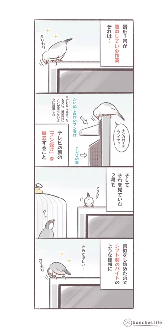 テレビ裏に設置した文鳥用のフン受けを取り外すことに意欲的な1号と、なんでも真似したい2号の共同作業でいつか目的達成されそう
#文鳥 
#bunchoslife 
#4コマ漫画 