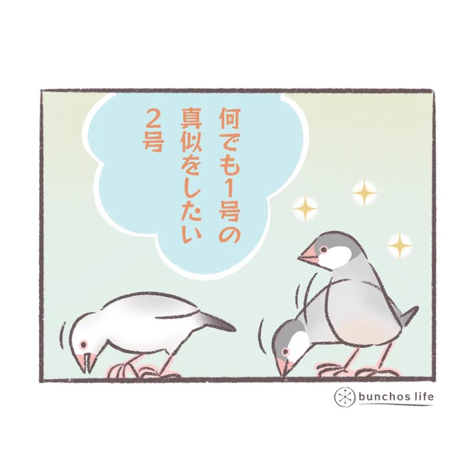 🍀2023卓上カレンダー販売中
↓↓↓
https://t.co/Rn9k9vhe9X…

🍀過去作の電子書籍第3弾、0円でダウンロードできます
↓↓↓
https://t.co/33FMiE9ozt

#文鳥と書いてカワイイと読む 