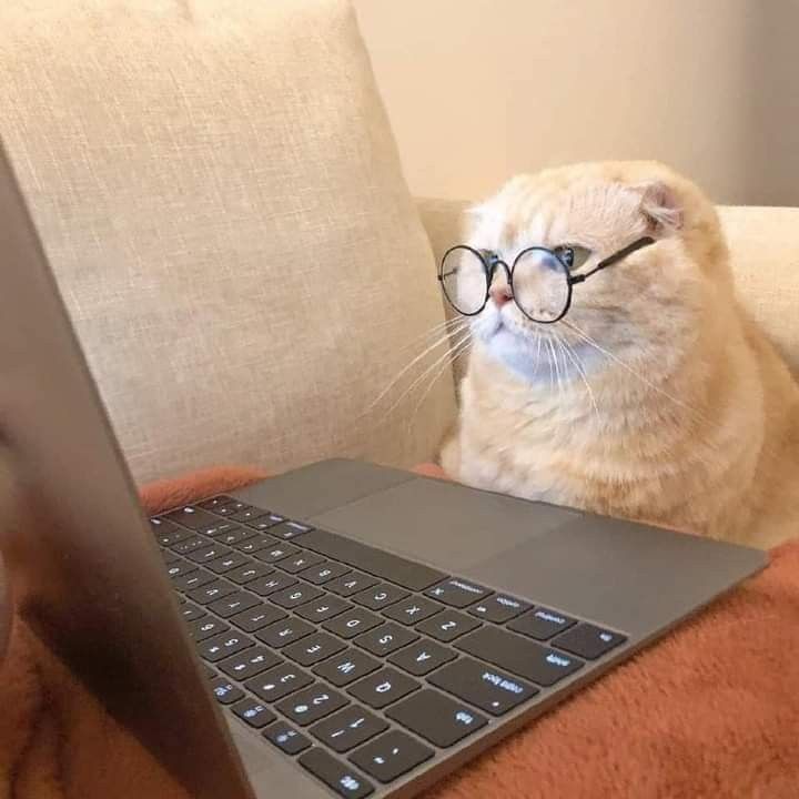 studfx's tweet image. Começando hoje... #studytwt #studytwtbr 

💫| ela/dela, 16y.
📚| intp, 2° do médio.
🧠| biologia, química, filosofia e redação.
🫁| foco no vestibular pra med.

*_✨️/ estudos, livros, gato, kpop e muita energia positiva para inspiração!

 _^💞} segue que eu sigo de volta!