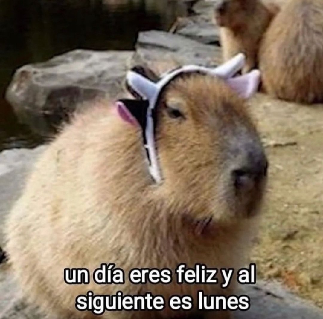 paracetamor's tweet photo. https://t.co/EtwlkrOYqD