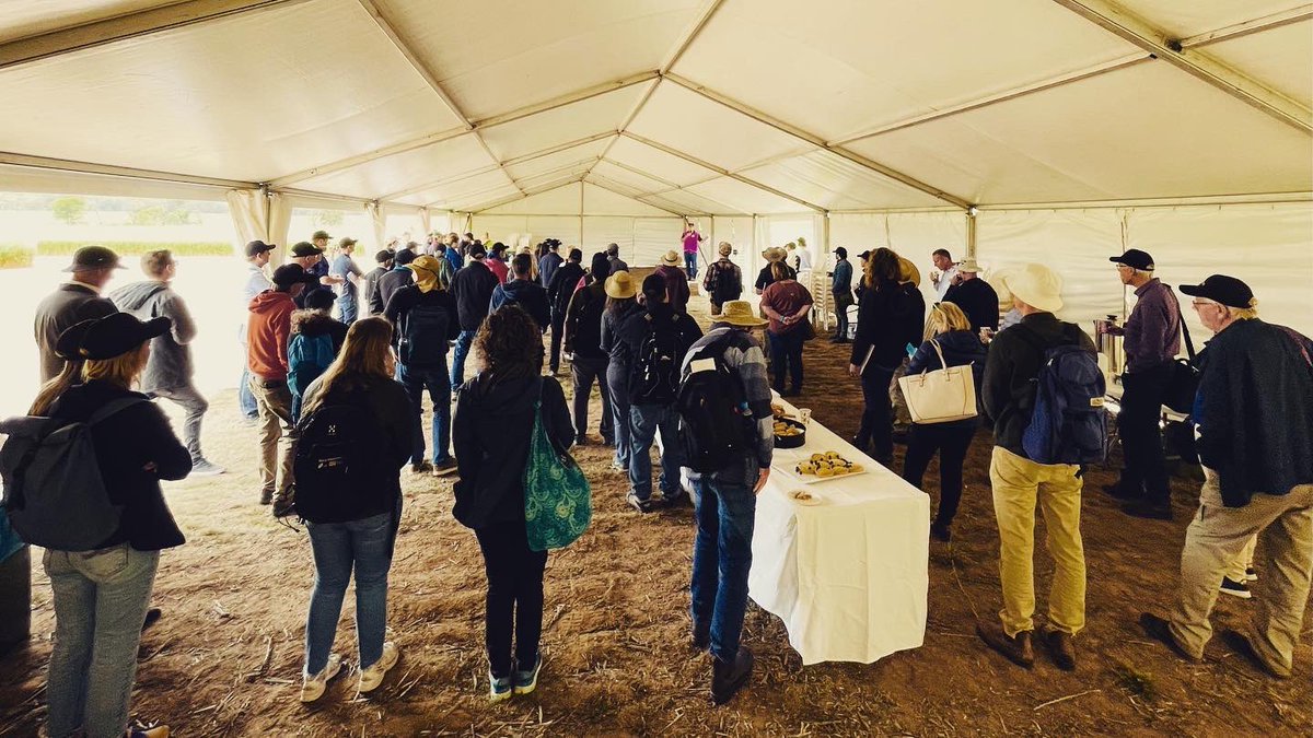 GrainIndustryWA's tweet photo. 11th International Oat Conference Field Day in York, Western Australia- showcasing sun ripened oats to the world! Thanks to field day sponsor @DPIRDbroadacre &amp; also to @InterGrain1 and @Living_Farm #OAT2022 @OatNewsletter https://t.co/NUTMlPRYLd