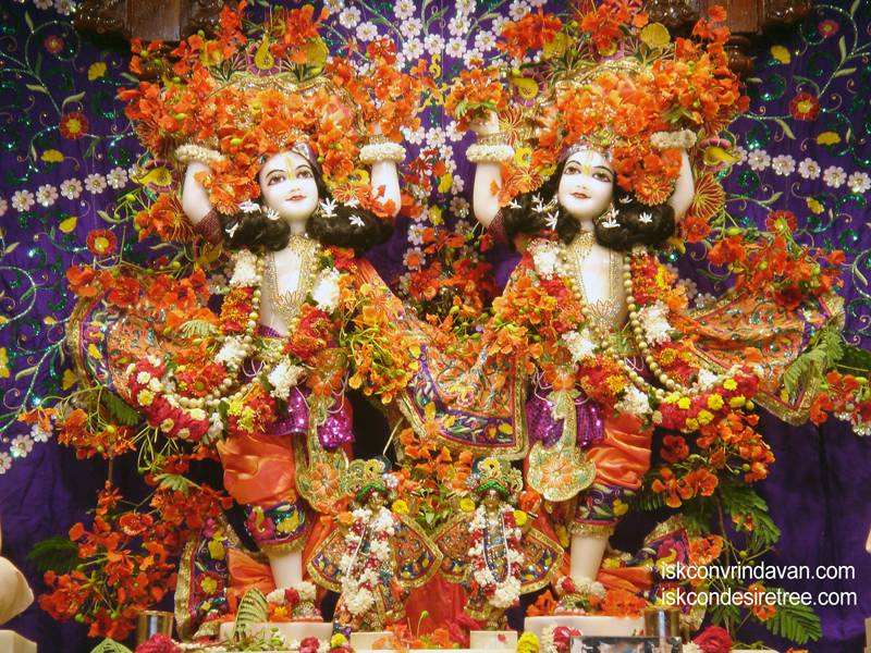 hkwallpapers's tweet photo. Sri Sri Gaura Nitai Wallpaper (038) 

Download Wallpaper: https://t.co/DgCA2ylbhO

Subscribe to Hare Krishna Wallpapers: https://t.co/9KznnOcBTa https://t.co/EypeSgPVCG