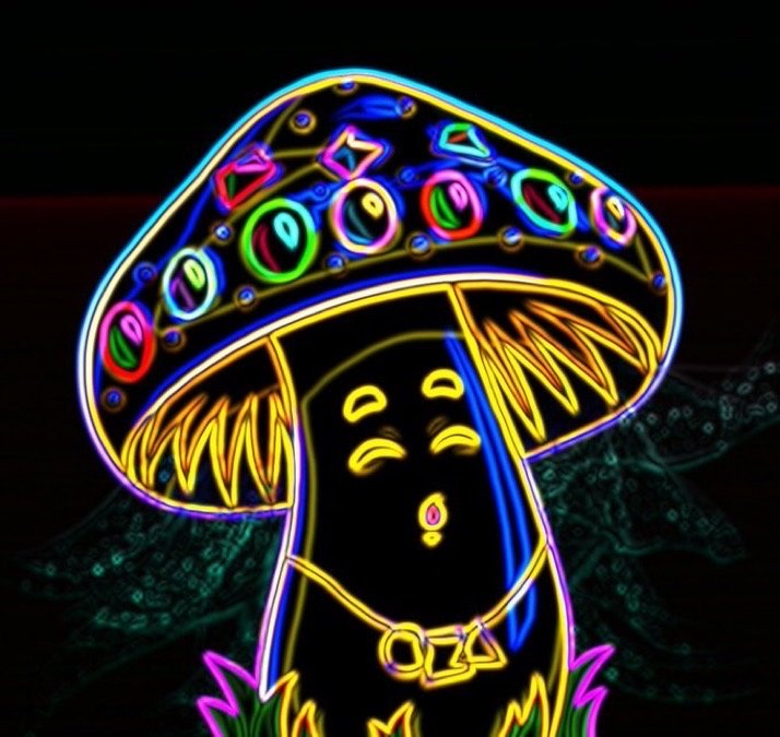 #Mushies are preparing something new🔥...

Something that the #algofam has never seen before👀👀

Prepare yourselves...

#Algorand is gonna get the best  #NFTartist 👌 <a href="/BingoBongo_ape/">BingoBongo Ape</a> 

#NFTs #AlgorandNFTs